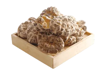 日本木蘑菇（厚）（330克）